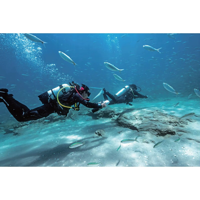สกู๊ตเตอร์ไฟฟ้าใต้น้ำความเร็วส - Underwater Scooter Sea Scooter บทวิจารณ์และราคา